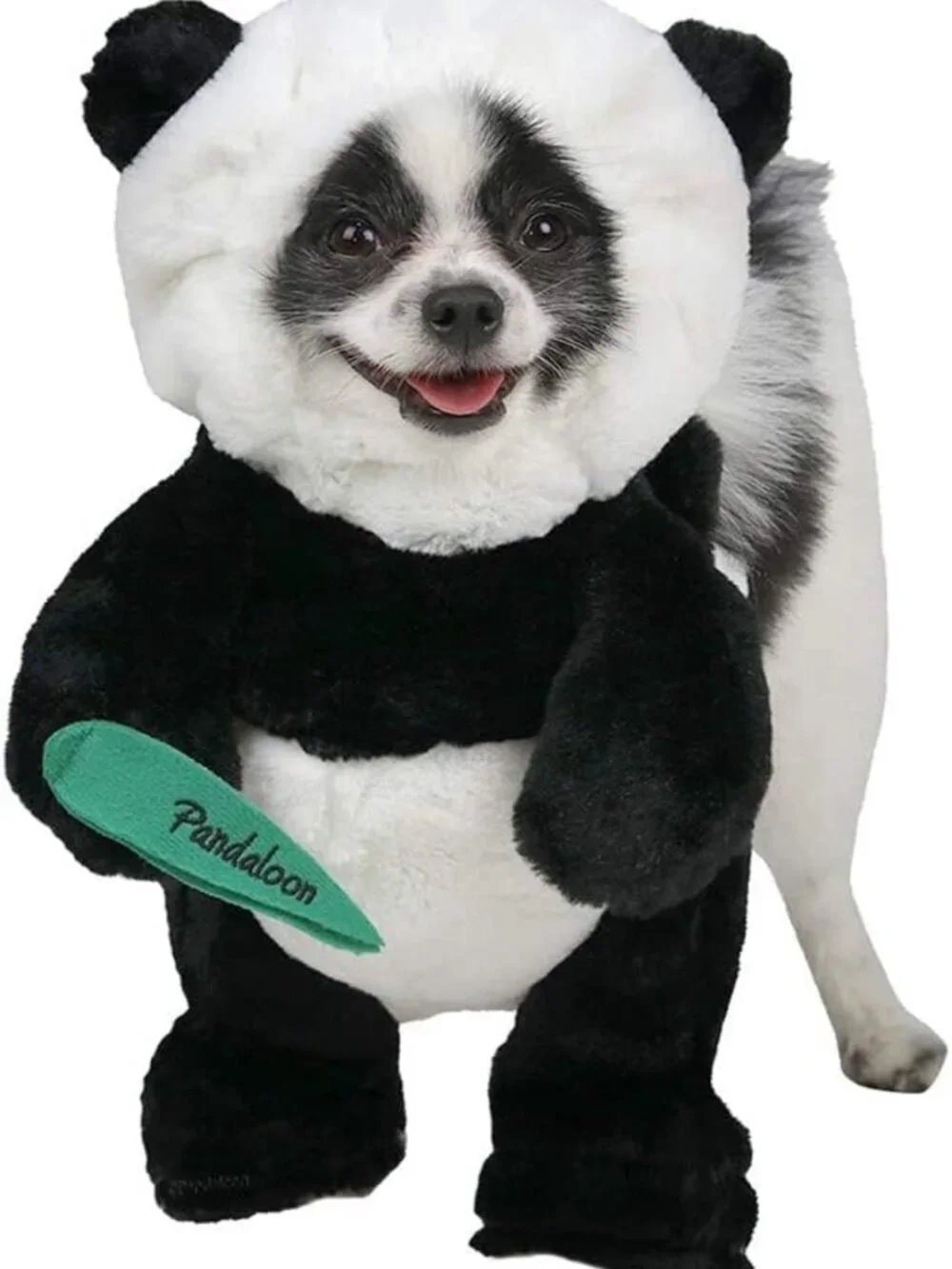 Funny Panda Dog Halloween Costume for Small & Medium Pets - Unique Design, Size